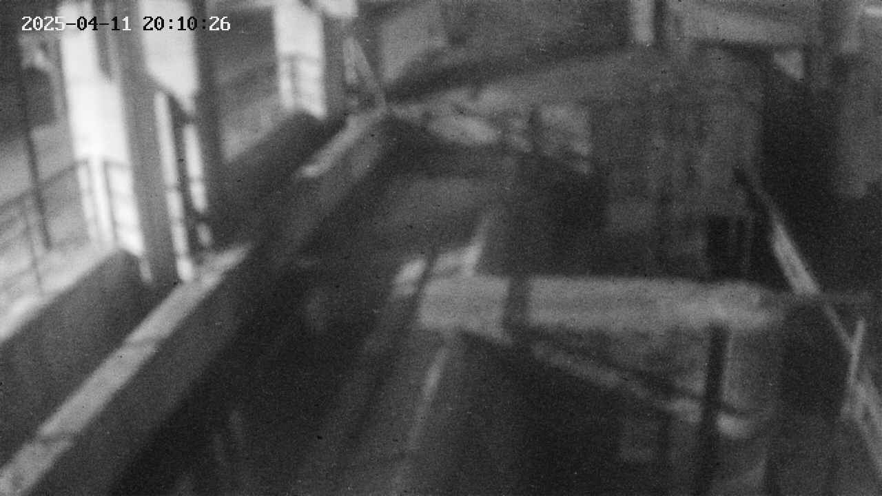 area2-20250411201026.jpg
