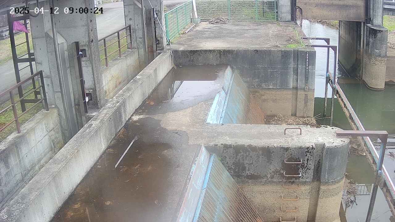 area2-20250412090025.jpg