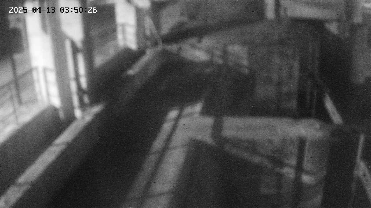 area2-20250413035026.jpg