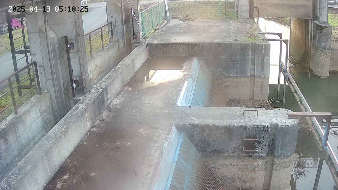 area2-20250413051026.jpg