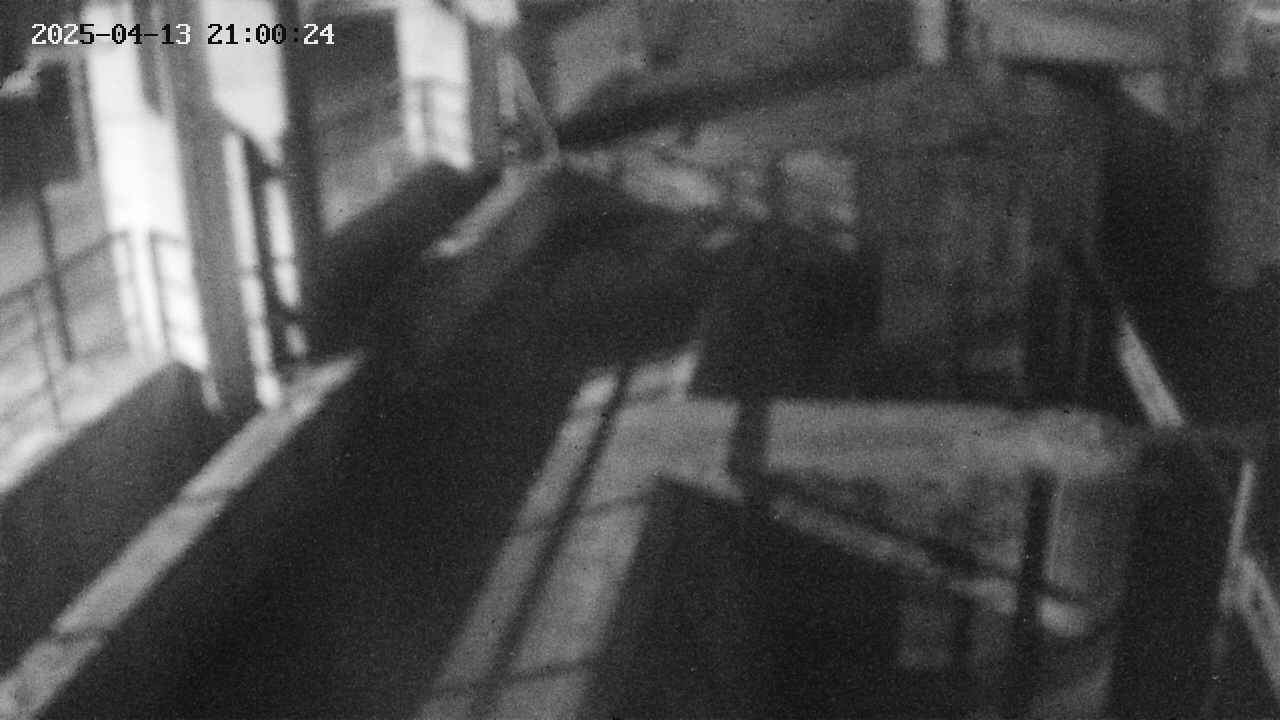 area2-20250413210025.jpg