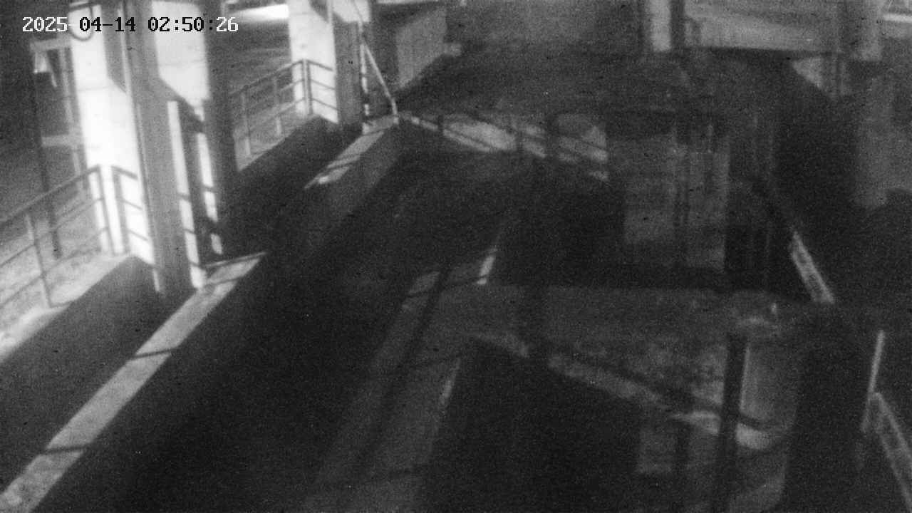 area2-20250414025027.jpg