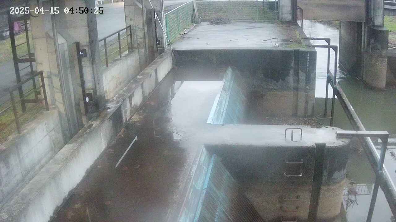 area2-20250415045026.jpg