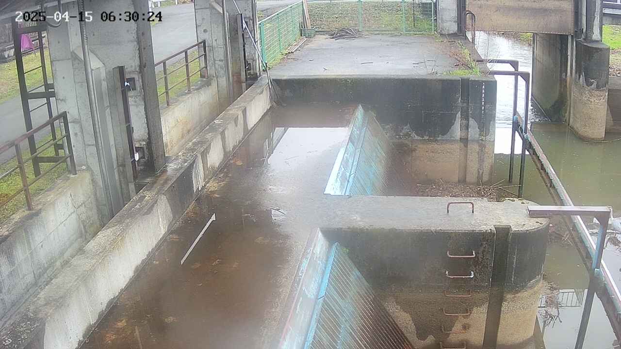 area2-20250415063025.jpg