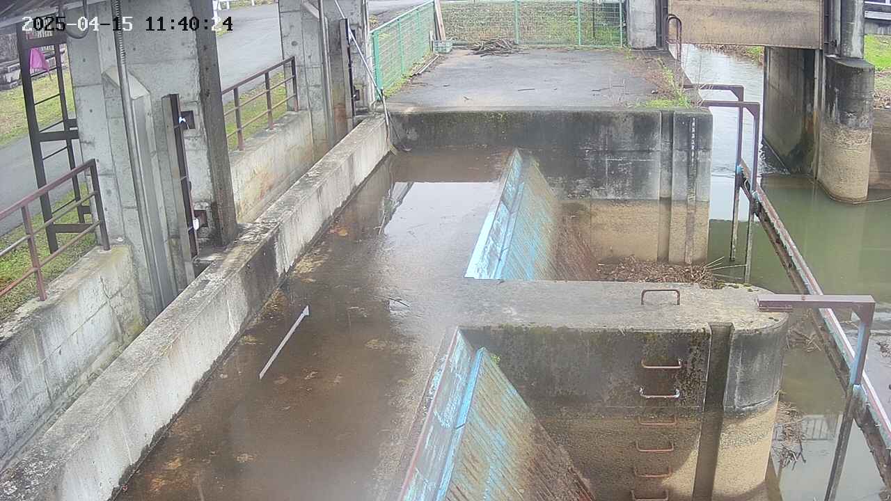 area2-20250415114025.jpg