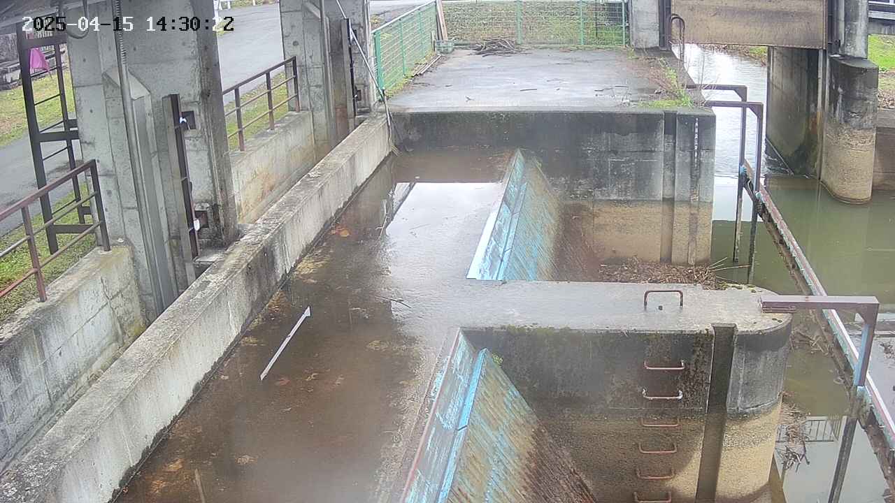 area2-20250415143023.jpg
