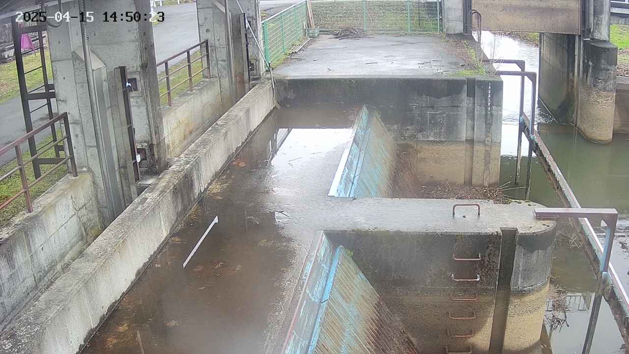 area2-20250415145024.jpg