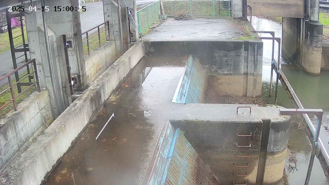 area2-20250415150026.jpg