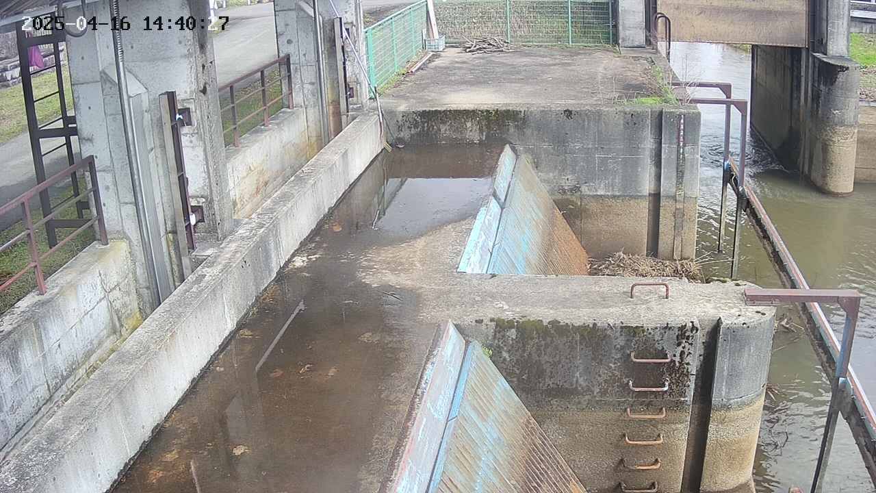area2-20250416144027.jpg