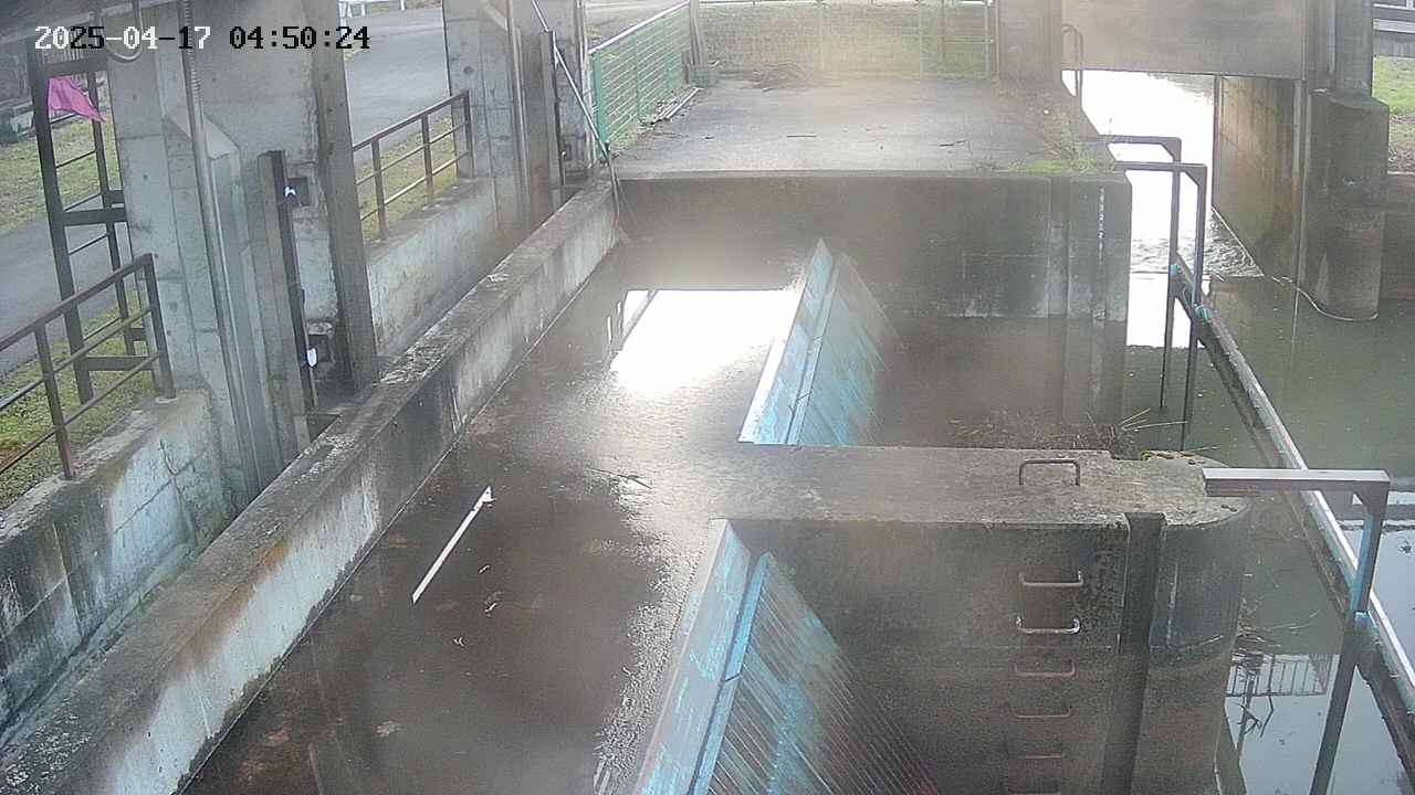area2-20250417045025.jpg