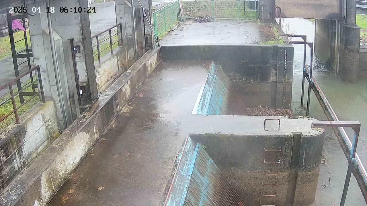 area2-20250418061025.jpg