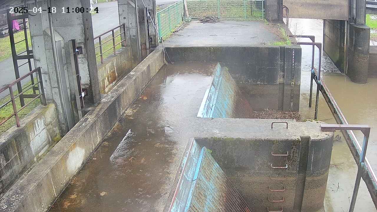 area2-20250418110025.jpg