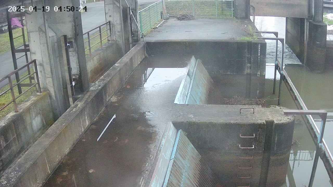 area2-20250419045025.jpg