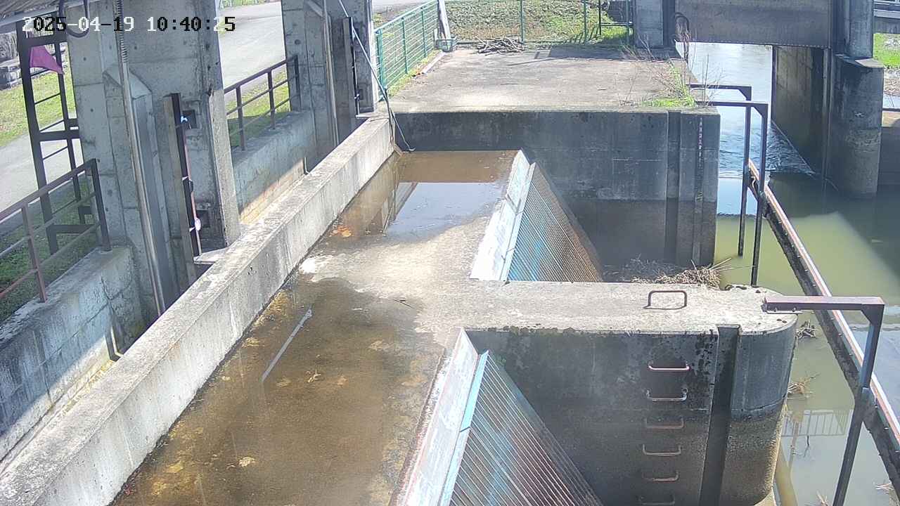 area2-20250419104026.jpg