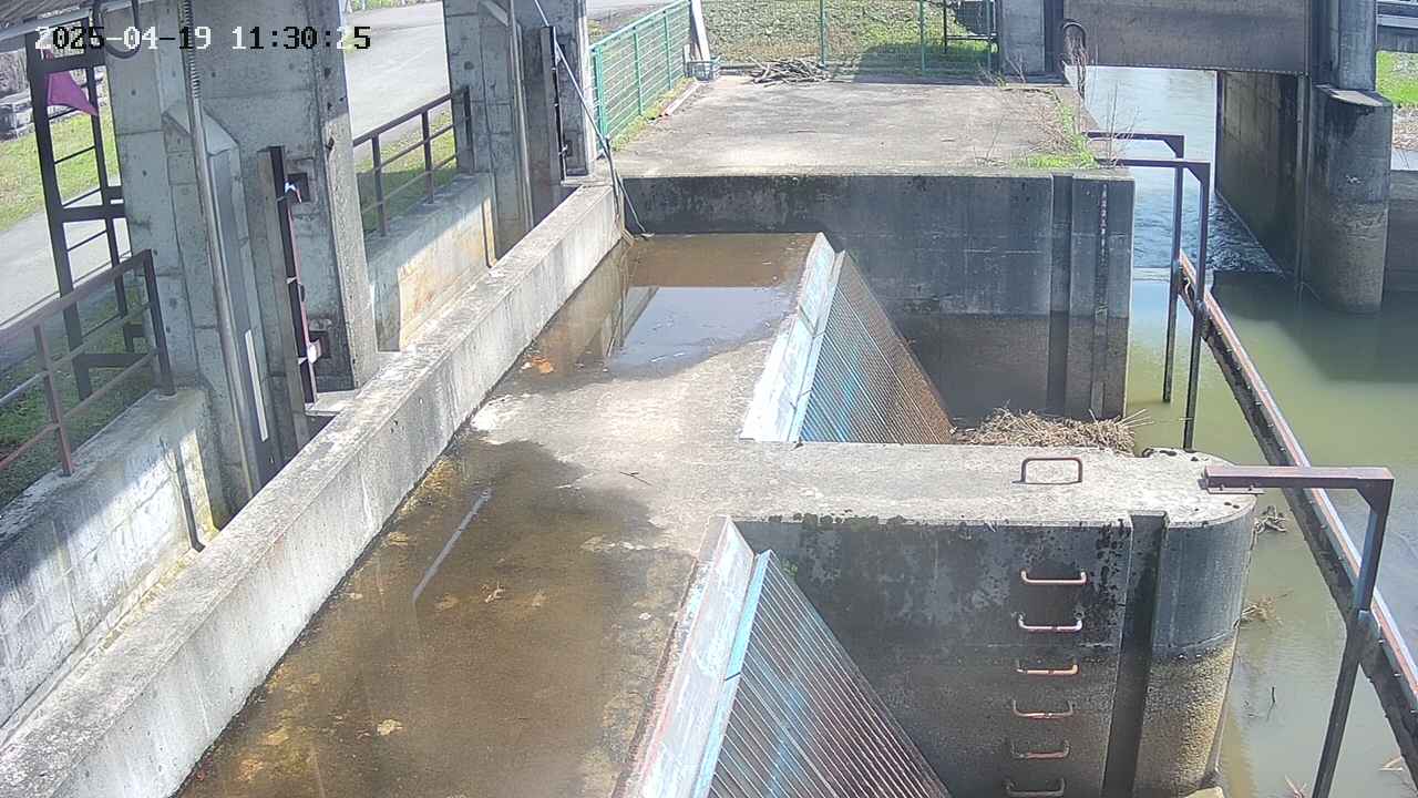 area2-20250419113026.jpg