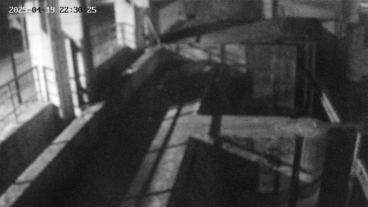 area2-20250419223025.jpg
