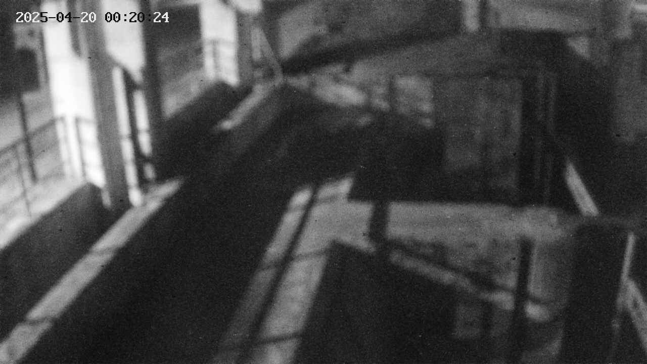 area2-20250420002025.jpg
