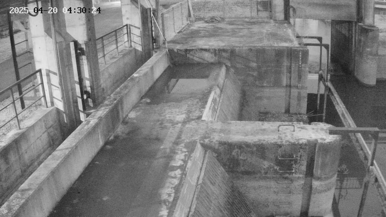area2-20250420043024.jpg
