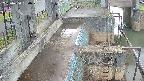 area2-20250420060026.jpg