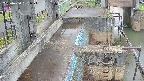 area2-20250420061025.jpg