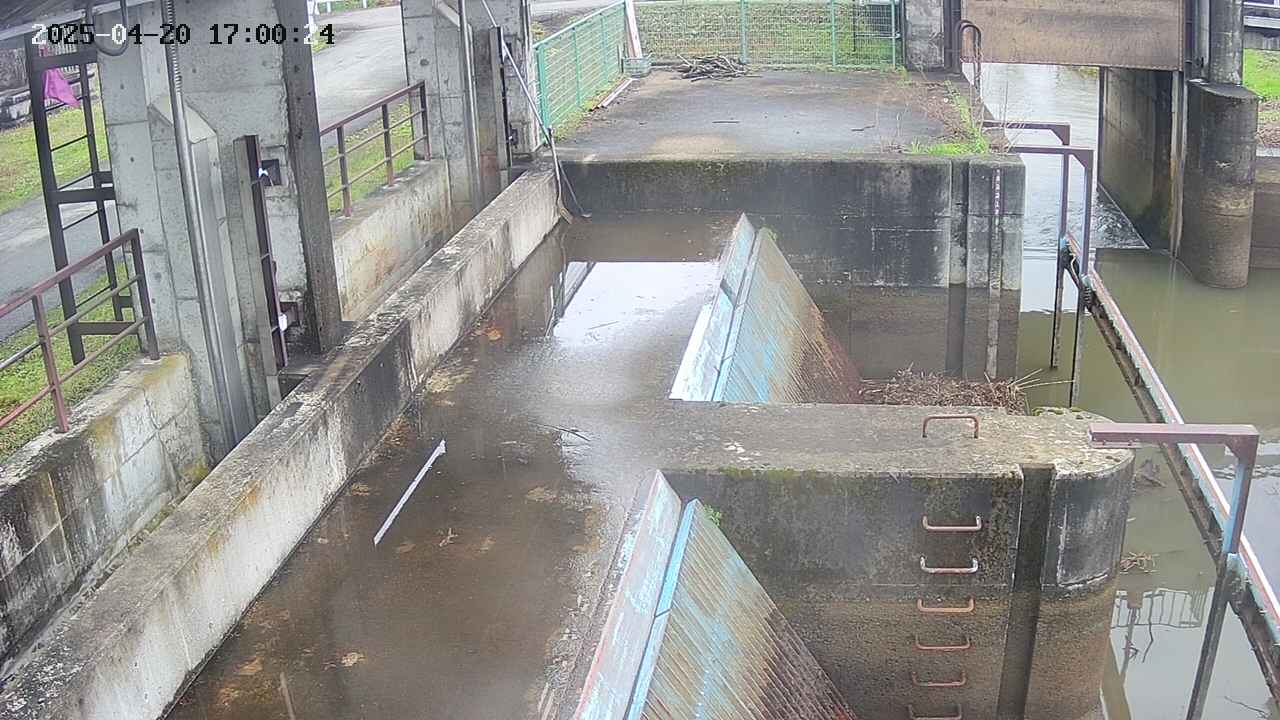 area2-20250420170025.jpg
