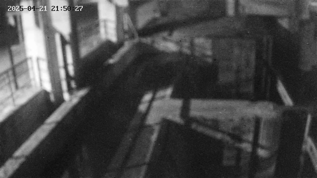 area2-20250421215027.jpg