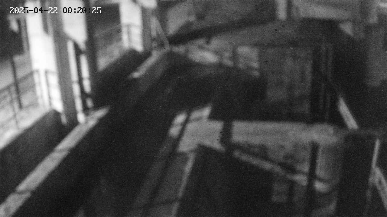 area2-20250422002026.jpg