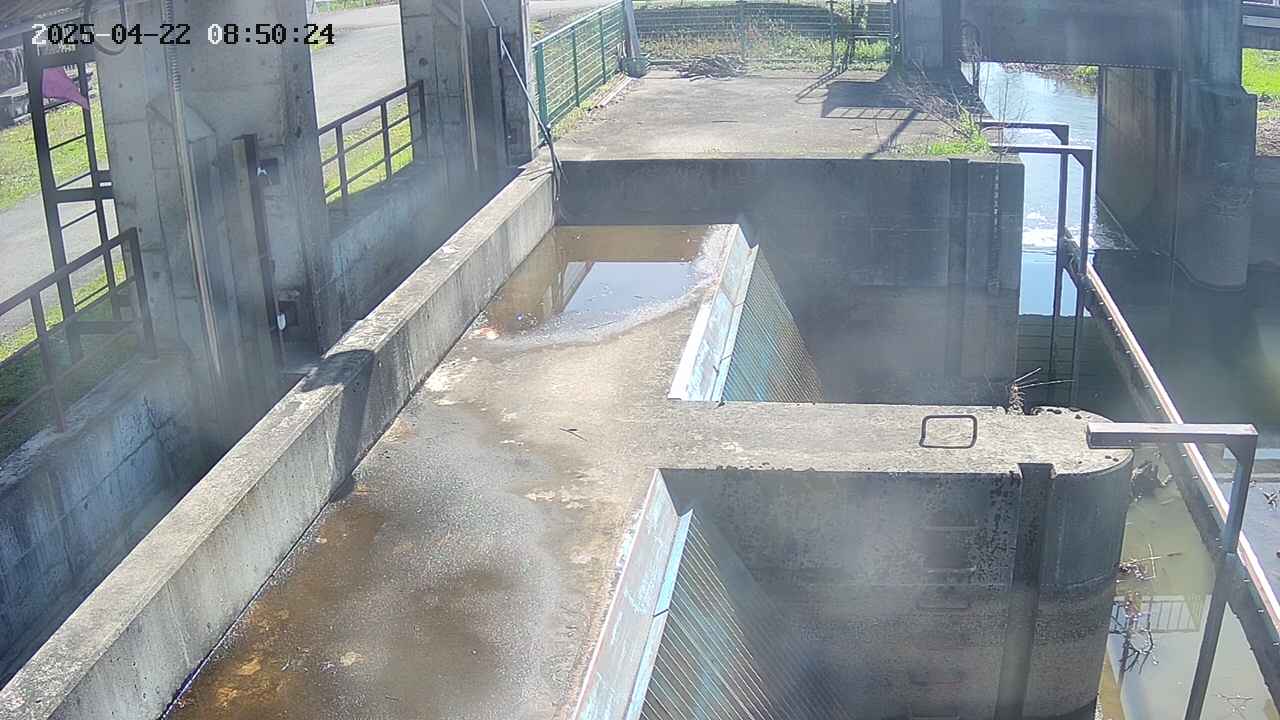 area2-20250422085025.jpg