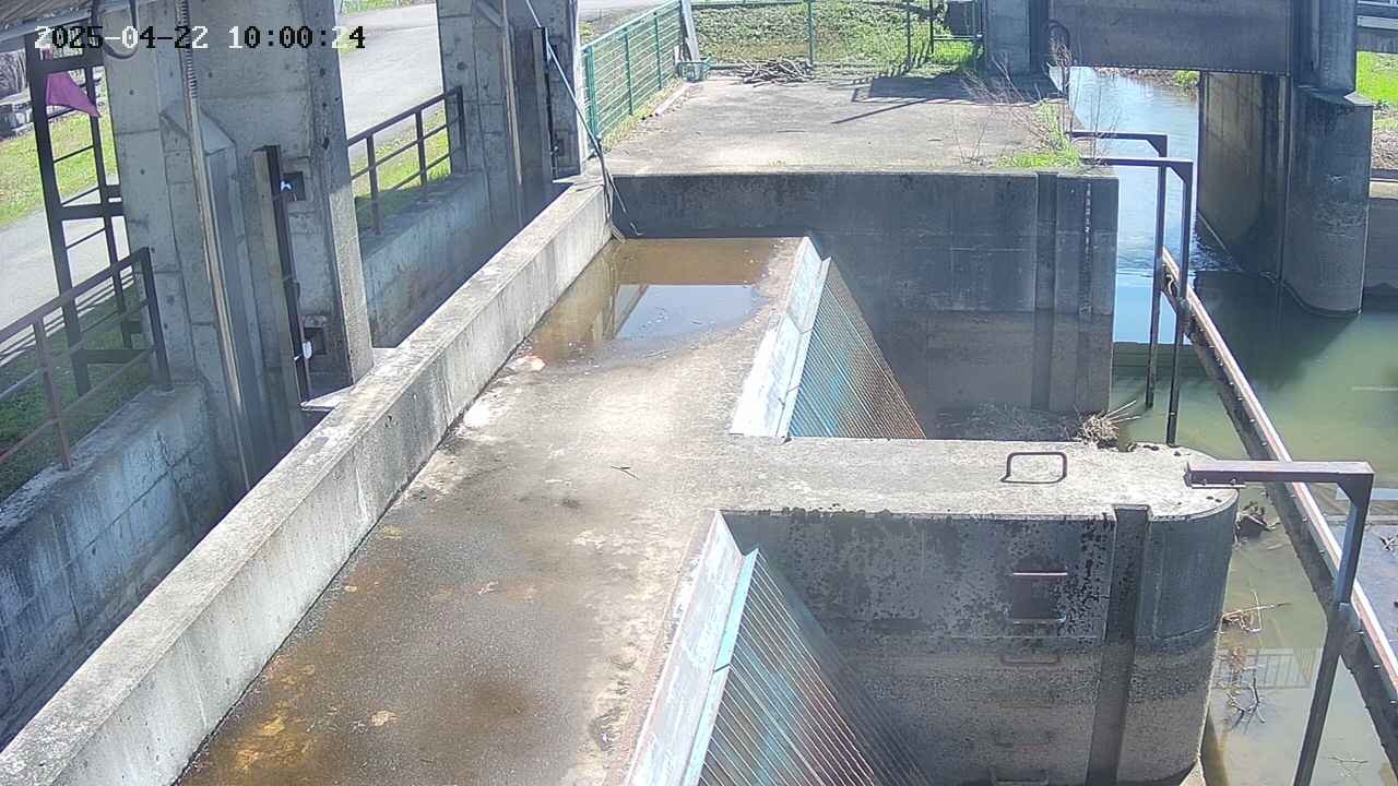 area2-20250422100025.jpg