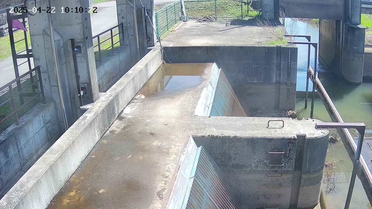 area2-20250422101023.jpg