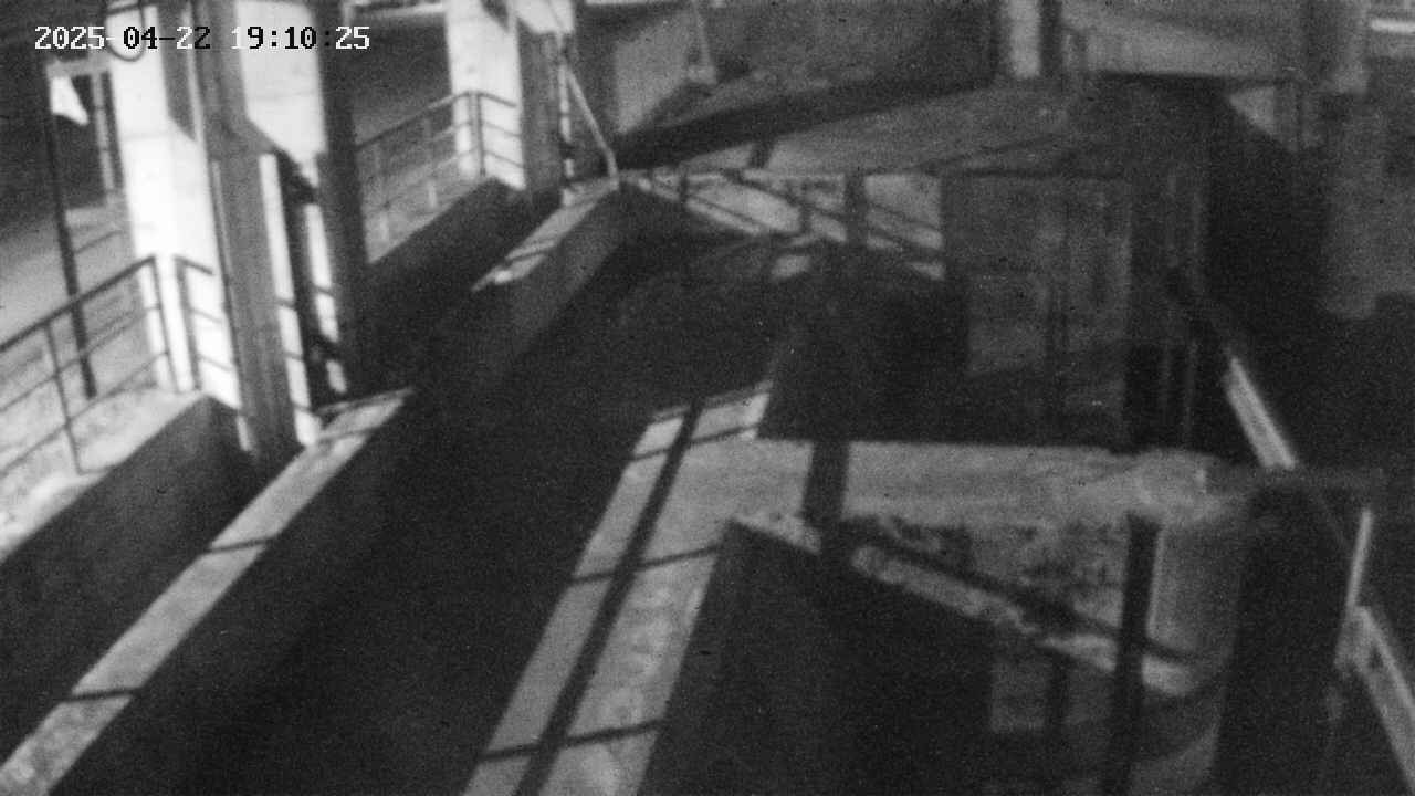 area2-20250422191025.jpg