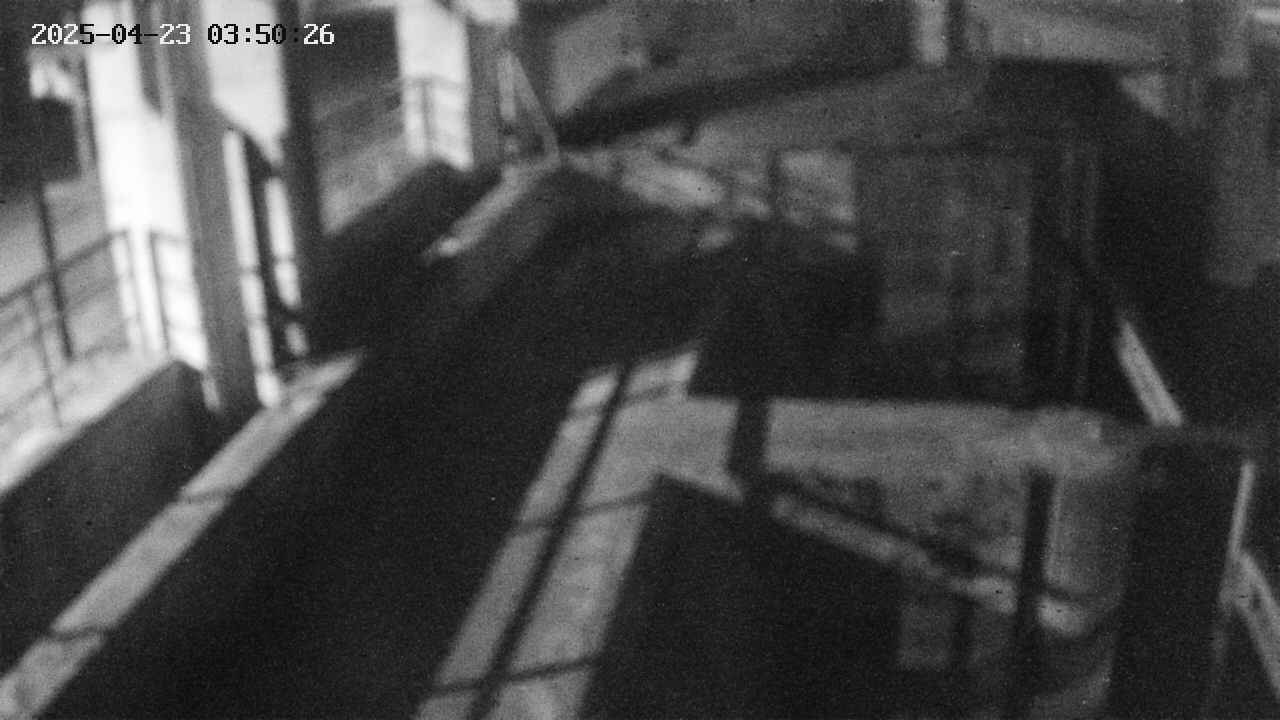 area2-20250423035026.jpg