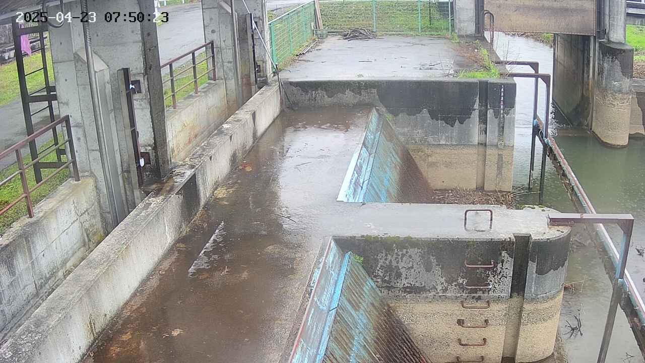 area2-20250423075024.jpg