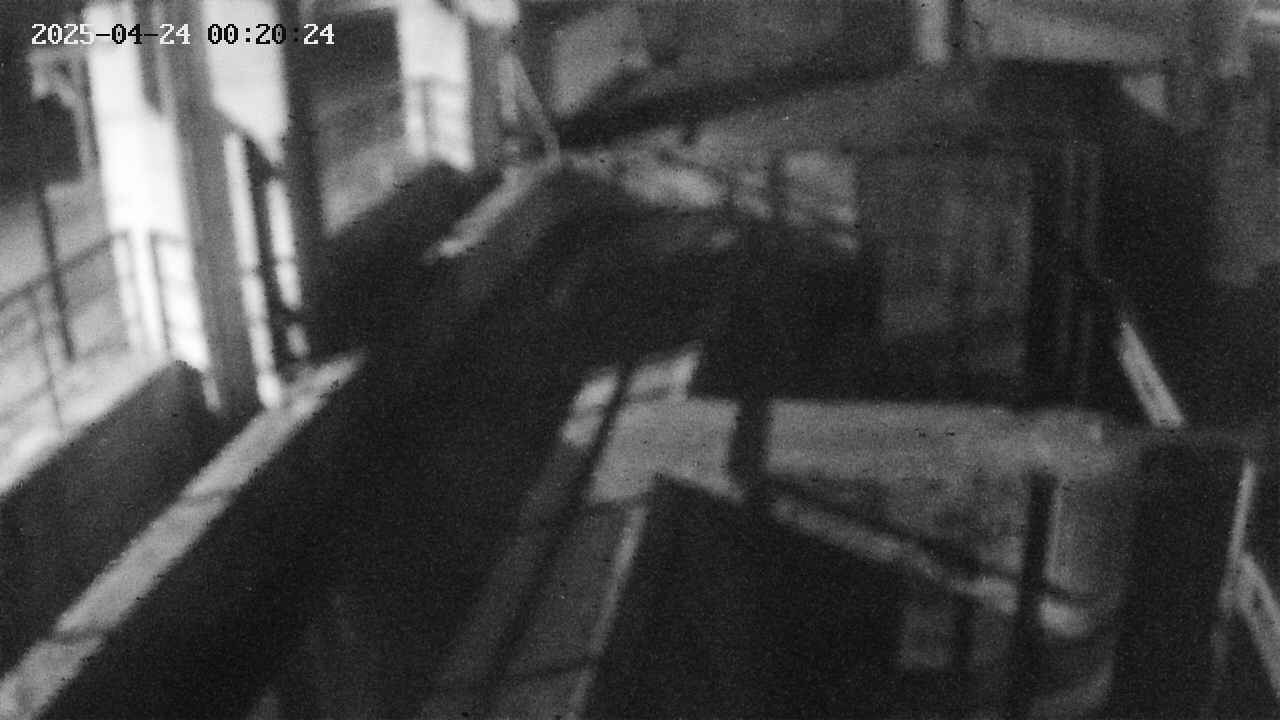 area2-20250424002024.jpg