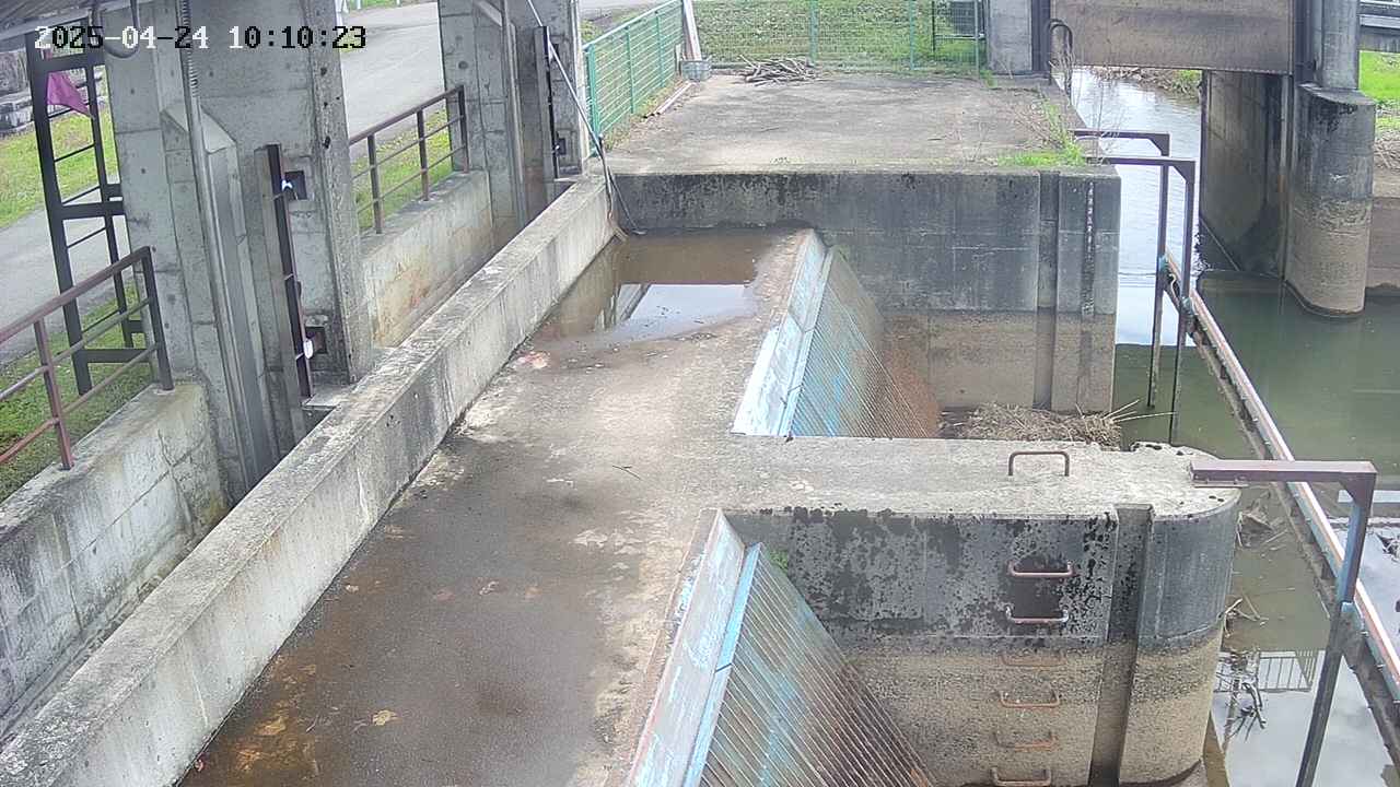 area2-20250424101024.jpg