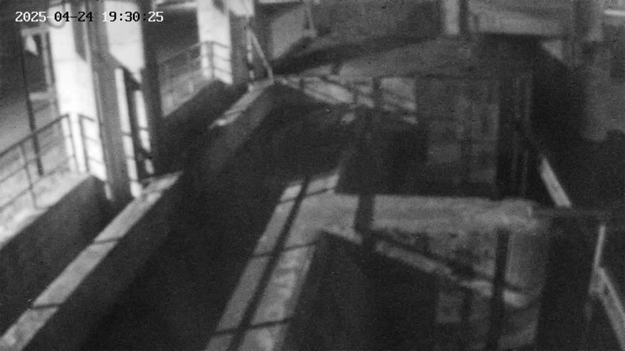 area2-20250424193025.jpg