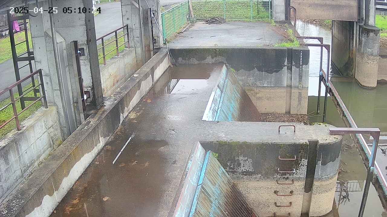 area2-20250425051025.jpg