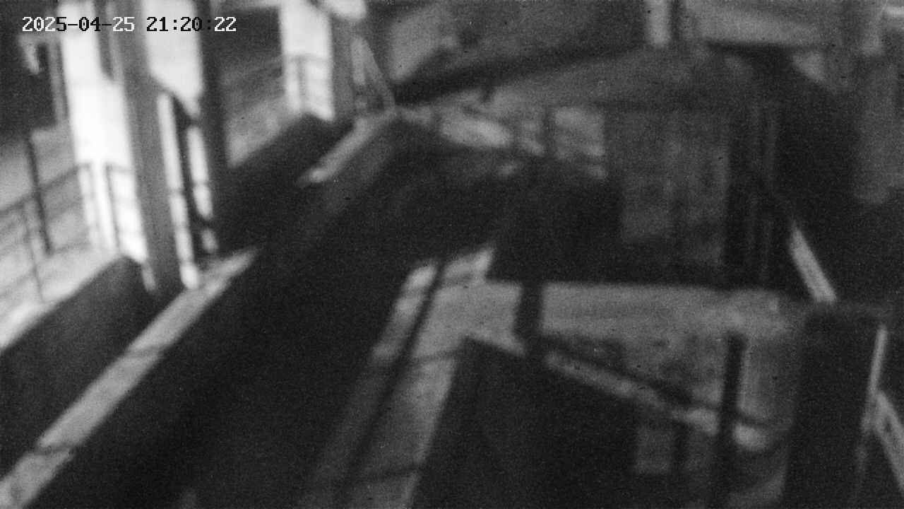 area2-20250425212023.jpg