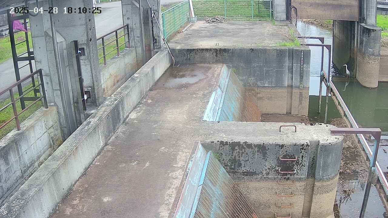 area2-20250428181026.jpg