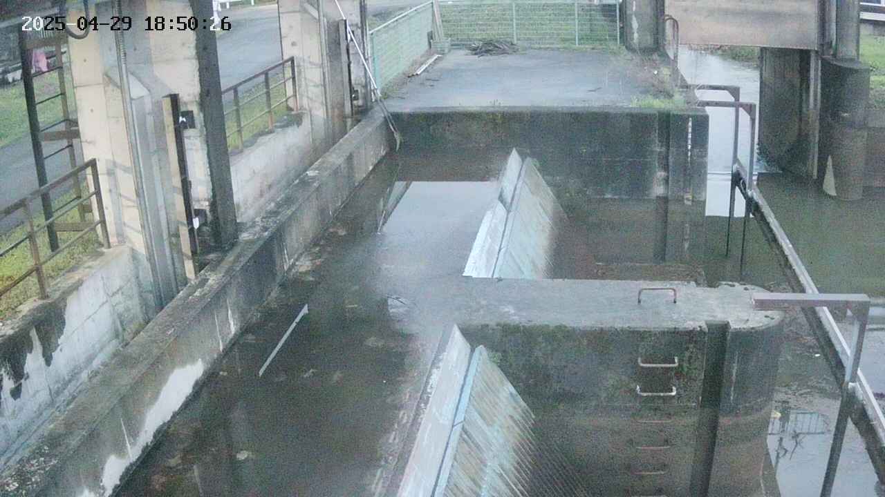 area2-20250429185027.jpg