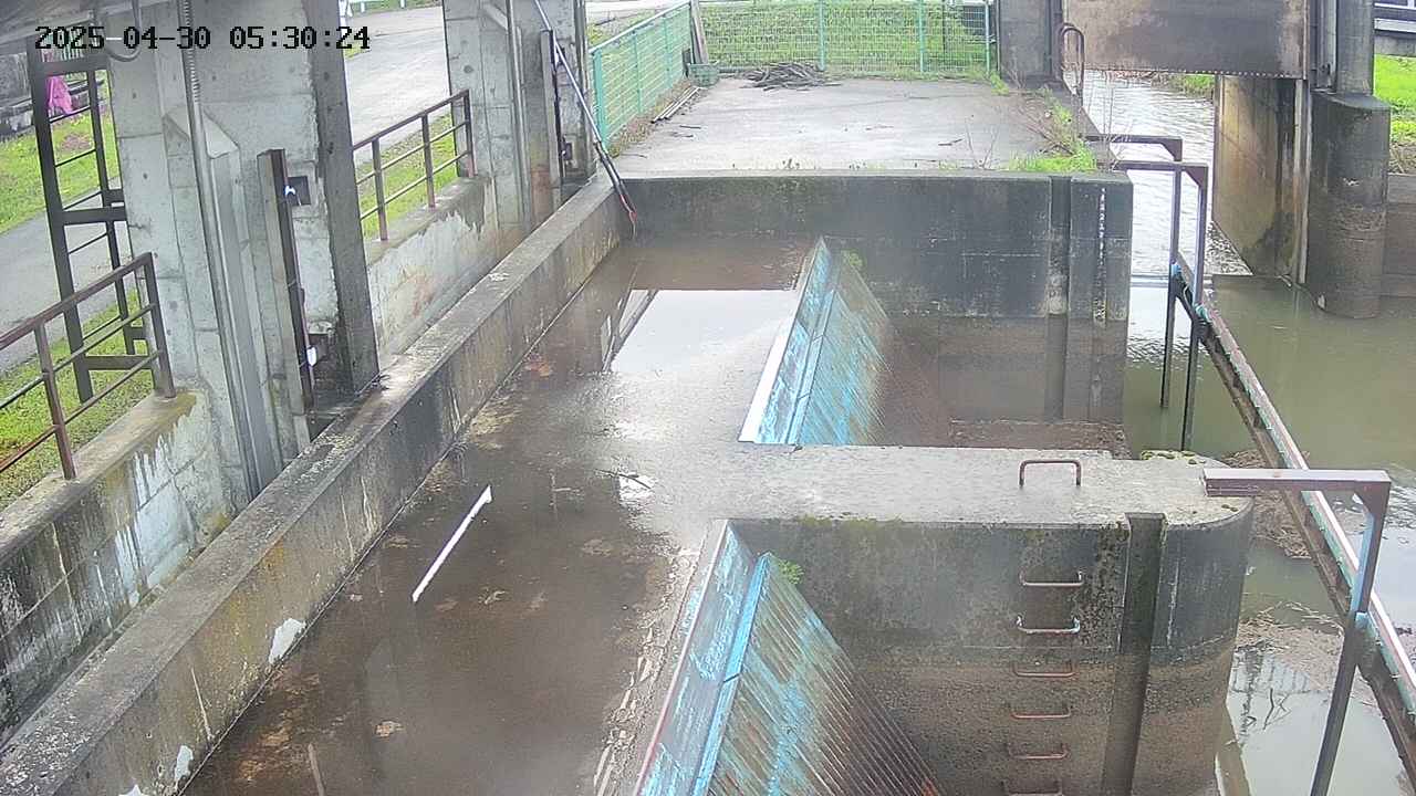 area2-20250430053025.jpg