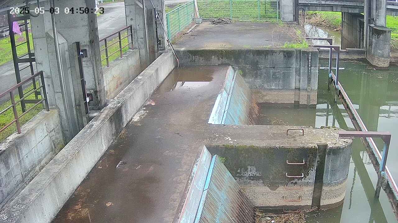 area2-20250503045024.jpg