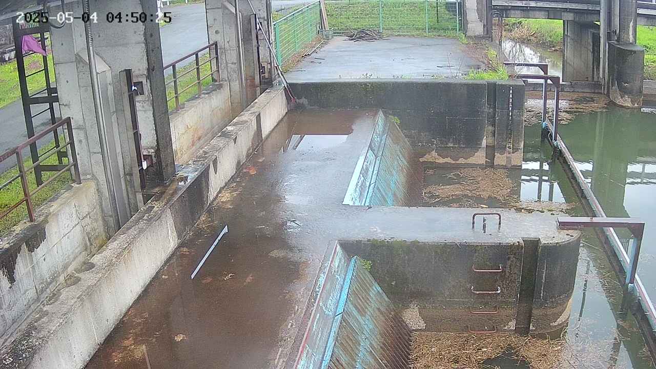 area2-20250504045026.jpg