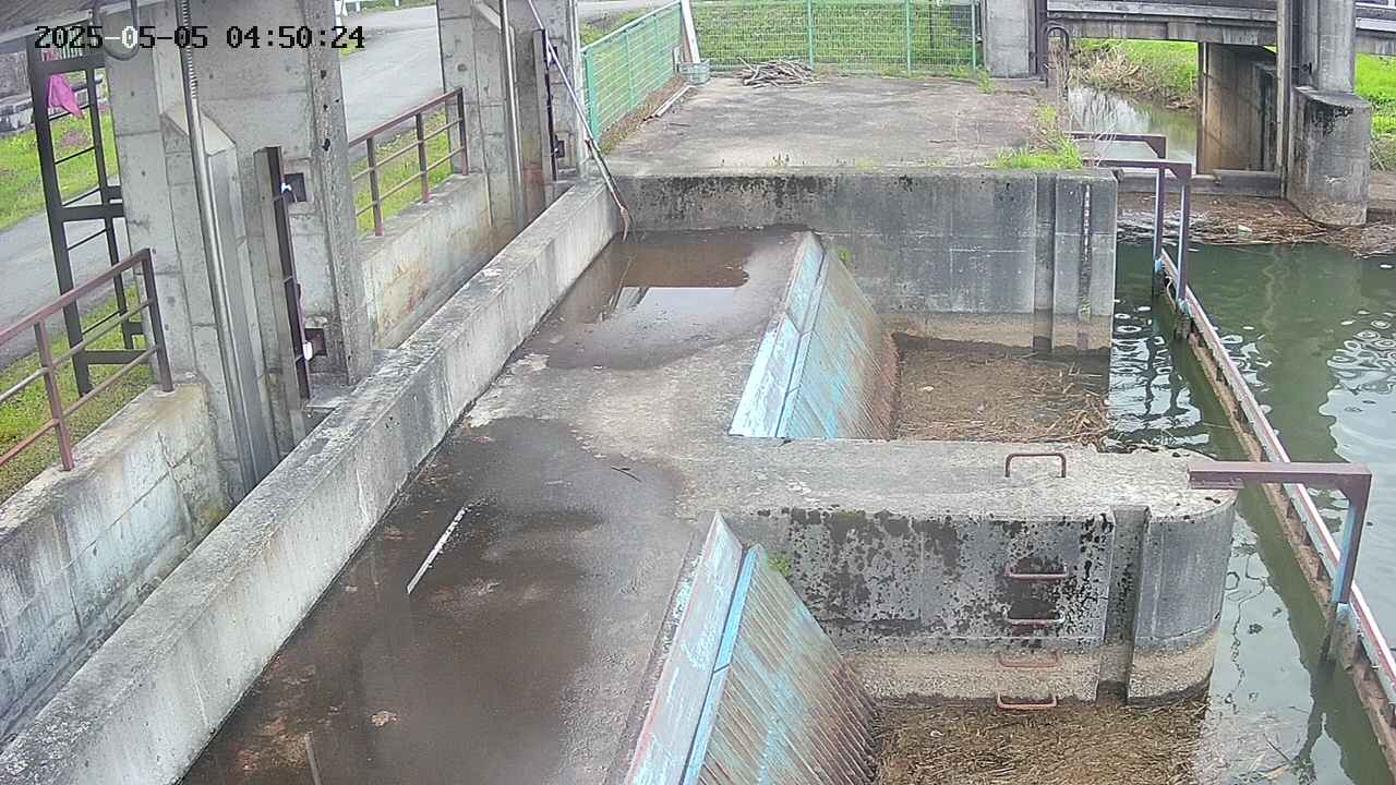 area2-20250505045026.jpg