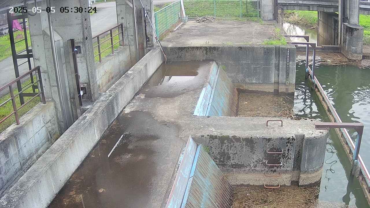 area2-20250505053026.jpg
