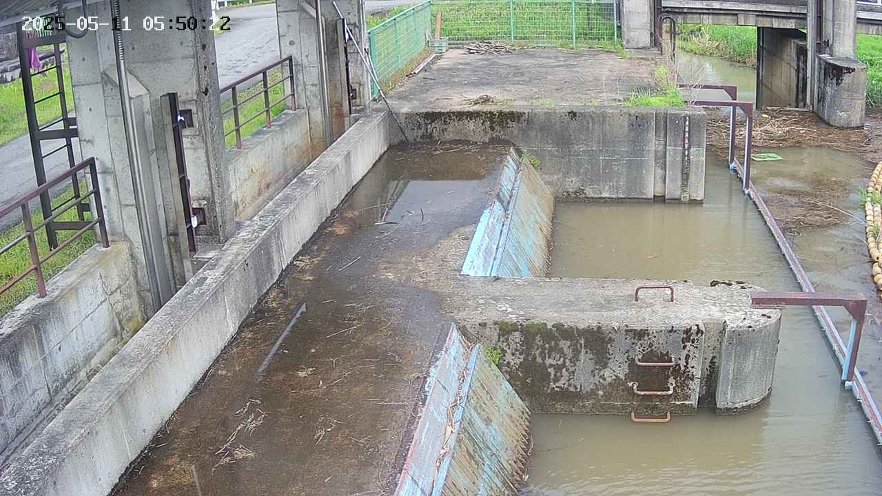 area2-20250511055024.jpg