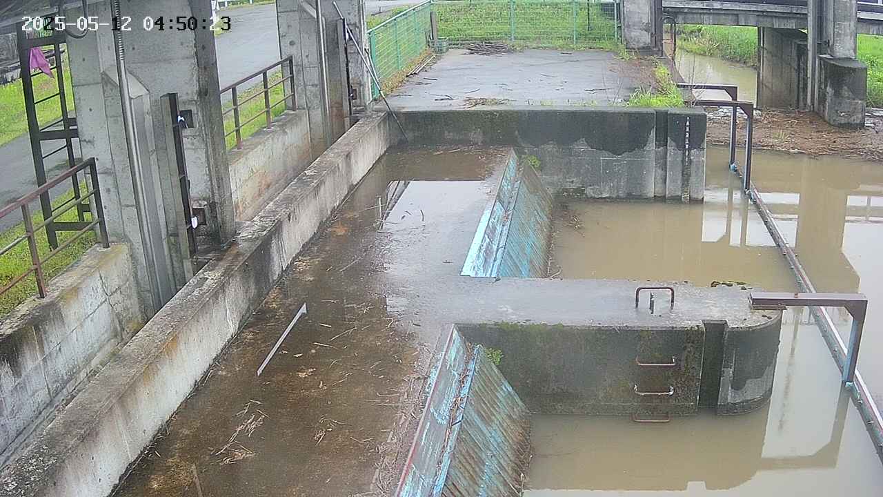 area2-20250512045025.jpg