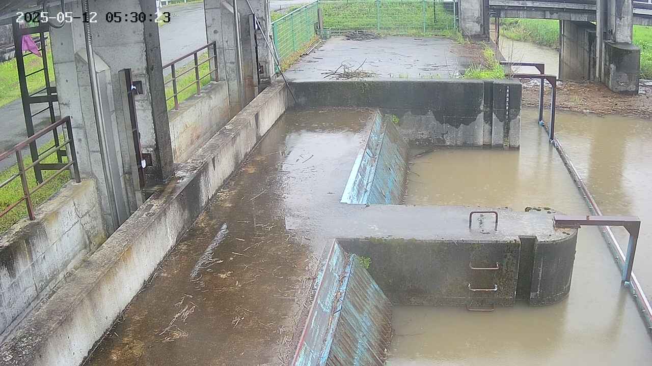area2-20250512053025.jpg