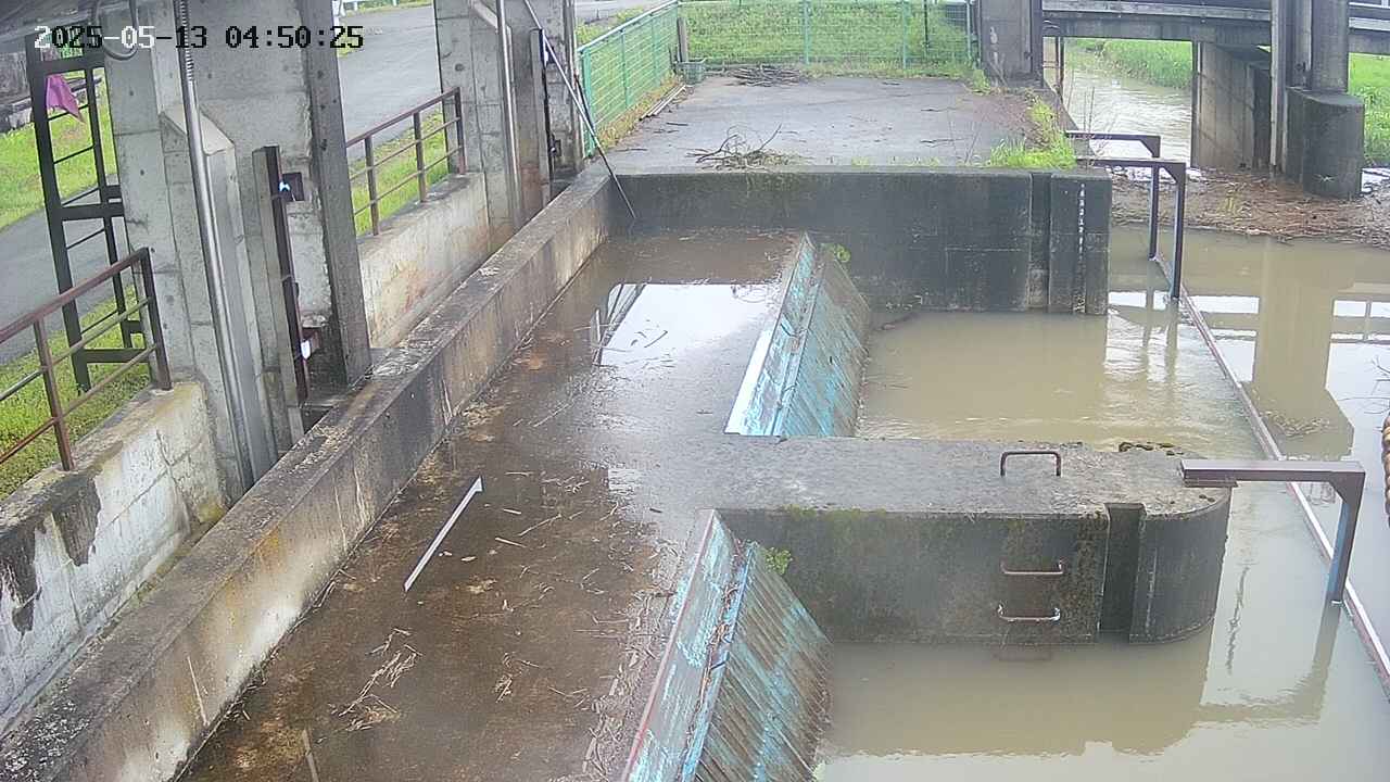 area2-20250513045026.jpg