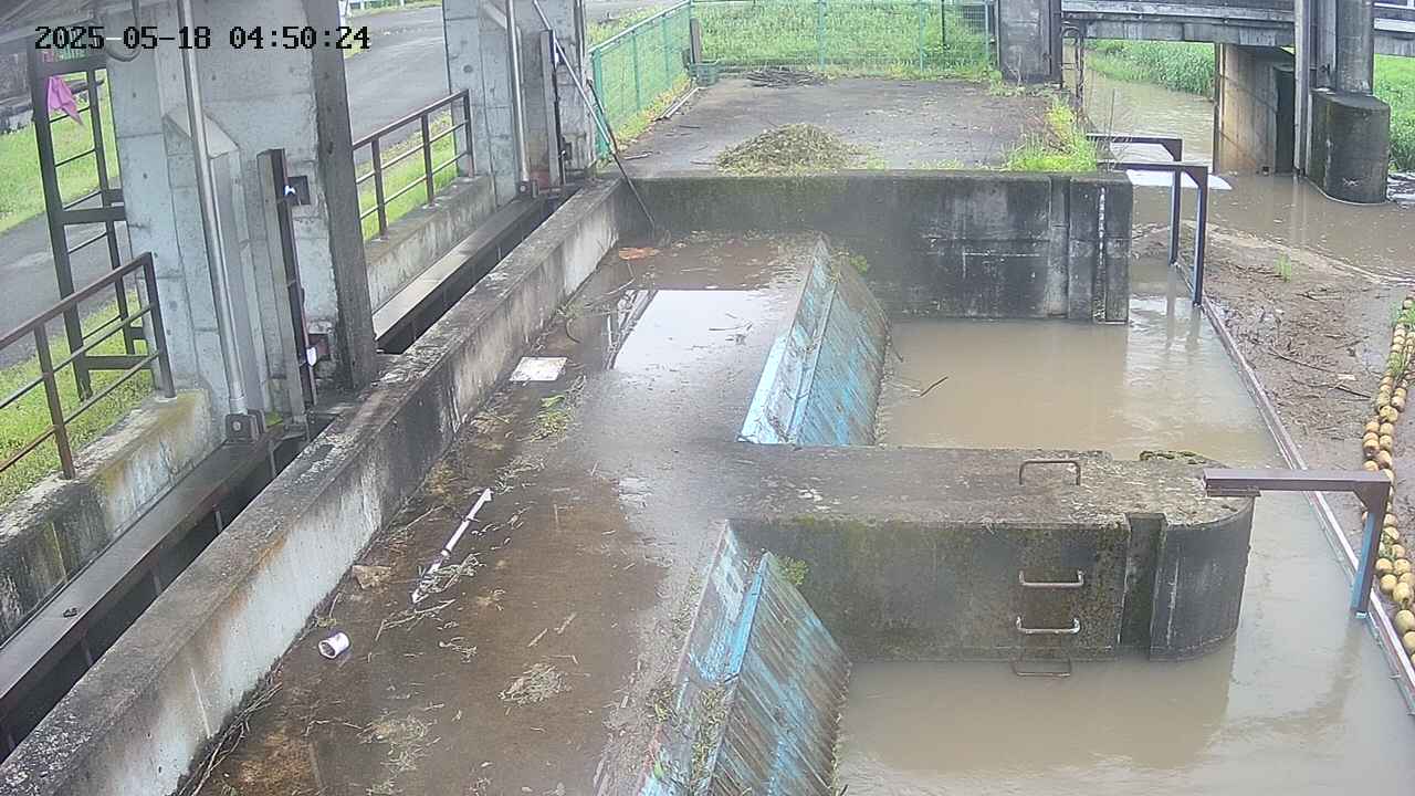 area2-20250518045026.jpg
